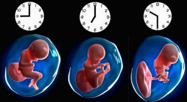 Главное родиться в правильное время: влияние часа рождения на судьбу человека